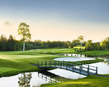 The Ascetic of this Ummah