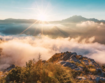 A Lofty Rank and Extensive Knowledge