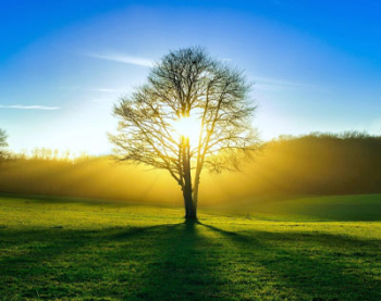 Faith in the Foreseen