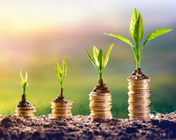 The Investment which gives Perpetual Profits and Returns